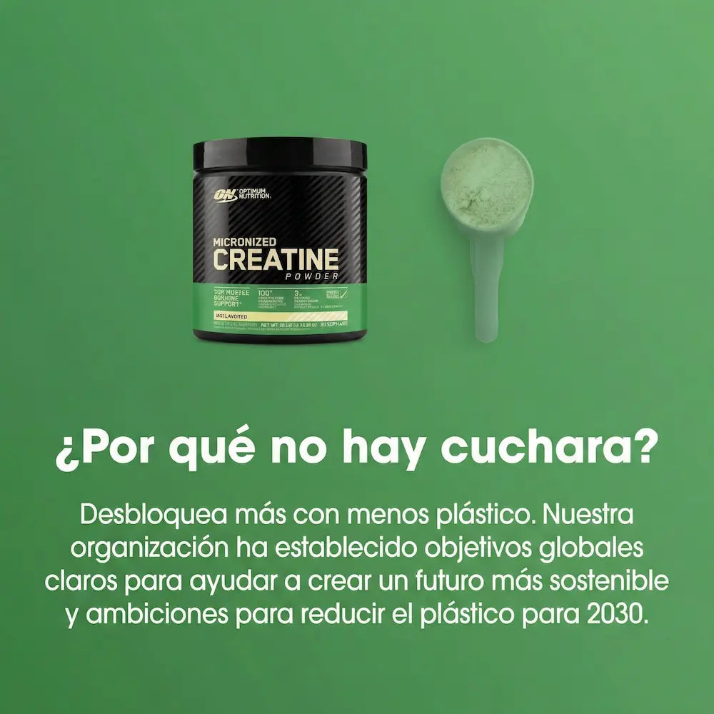 OPTIMUM NUTRITION - Creatine Micronized Powder