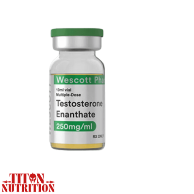 WESCOTT PHARMA - Enantato de testosterona 10 ml