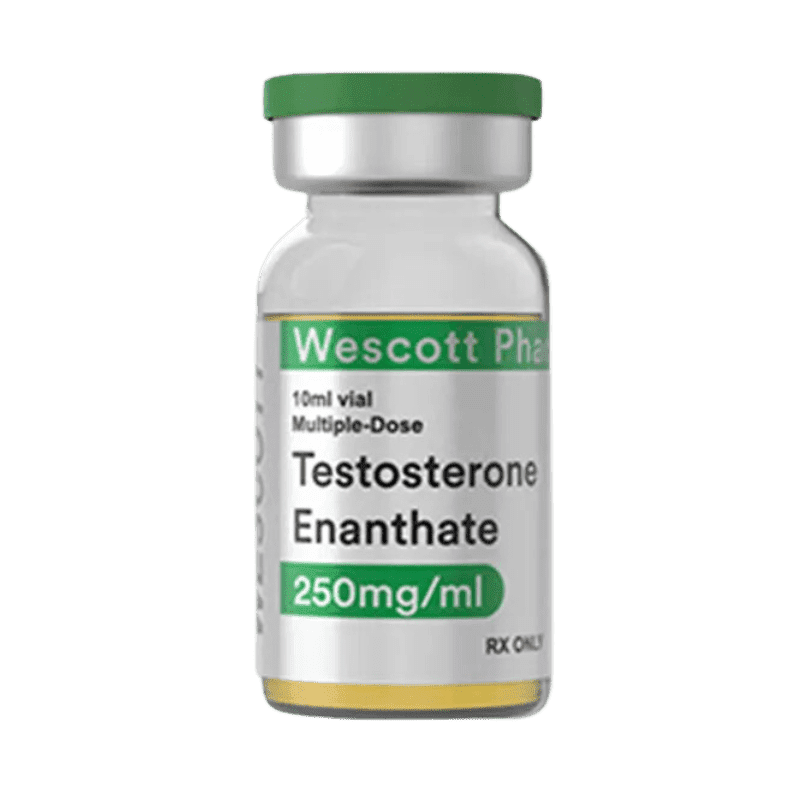 WESCOTT PHARMA - Enantato de testosterona 10 ml